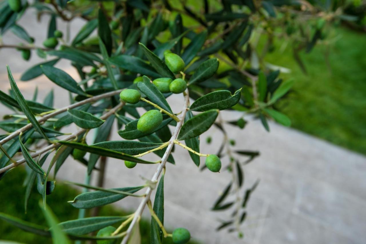 Apartmán Olive 103 Peraía Exteriér fotografie